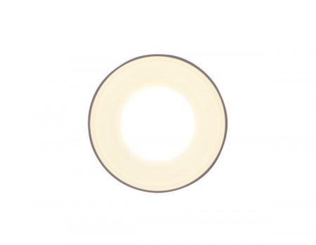 Потолочный светильник Ambrella light Techno TN3202